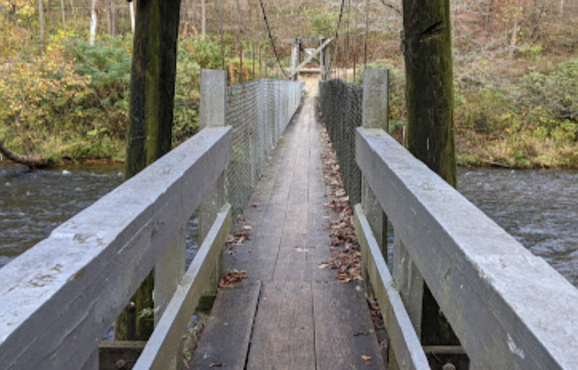 Swinging Bridge Across the Nantahala River