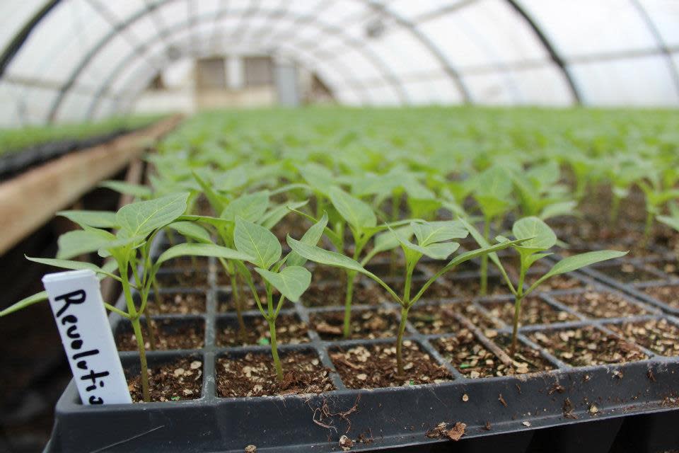 George Reeves Farms Reeves Farms