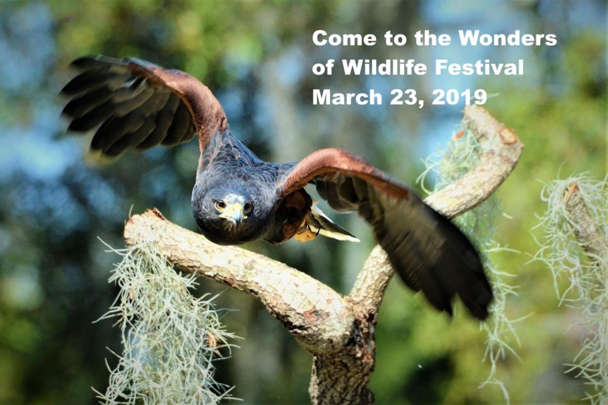 Wonders of Wildlife Festival
