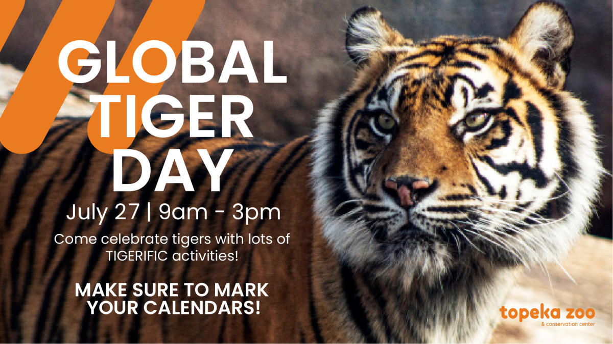 Global Tiger Day