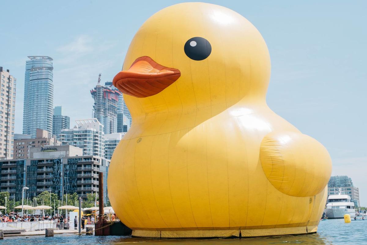 Toronto Waterfront Festival Toronto, ON M5E 1E6