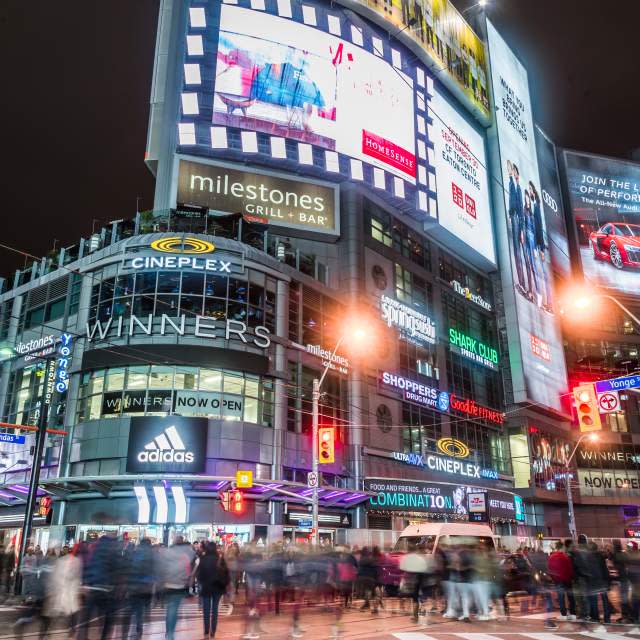 Adidas cheap yonge dundas