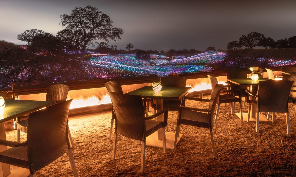 Visit Light at Sensorio