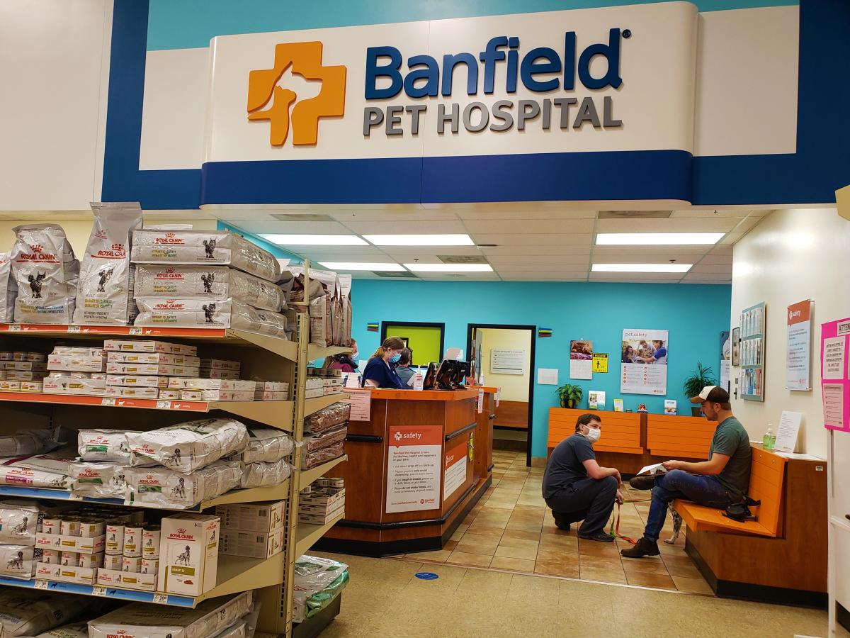 Banfield petsmart discount online