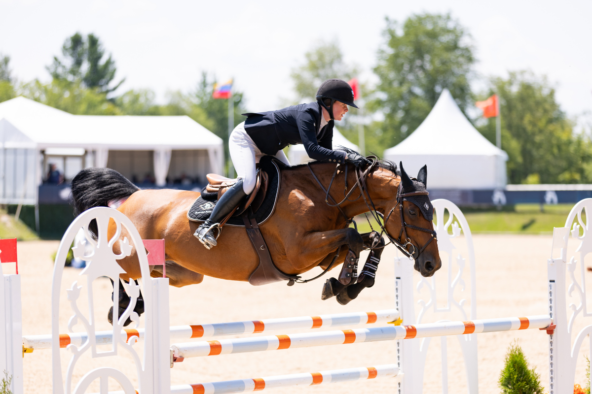 Weekly Showjumping at Flintfields Horse Park Williamsburg, MI 49690
