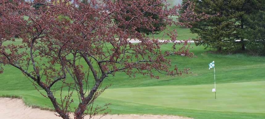 Elmbrook Golf Course Traverse City MI 49686 Elmbrook Golf Course Traverse City MI 49686