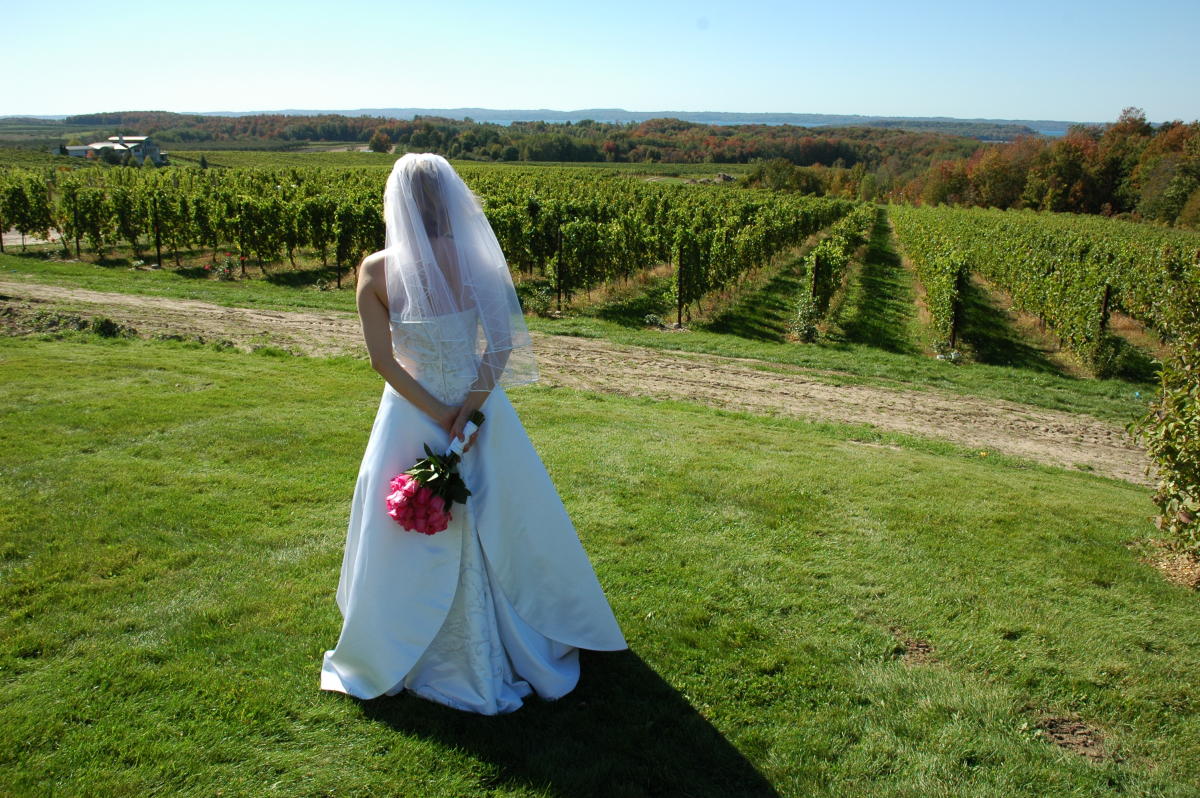 Jones Bridal TC Traverse City MI 49685