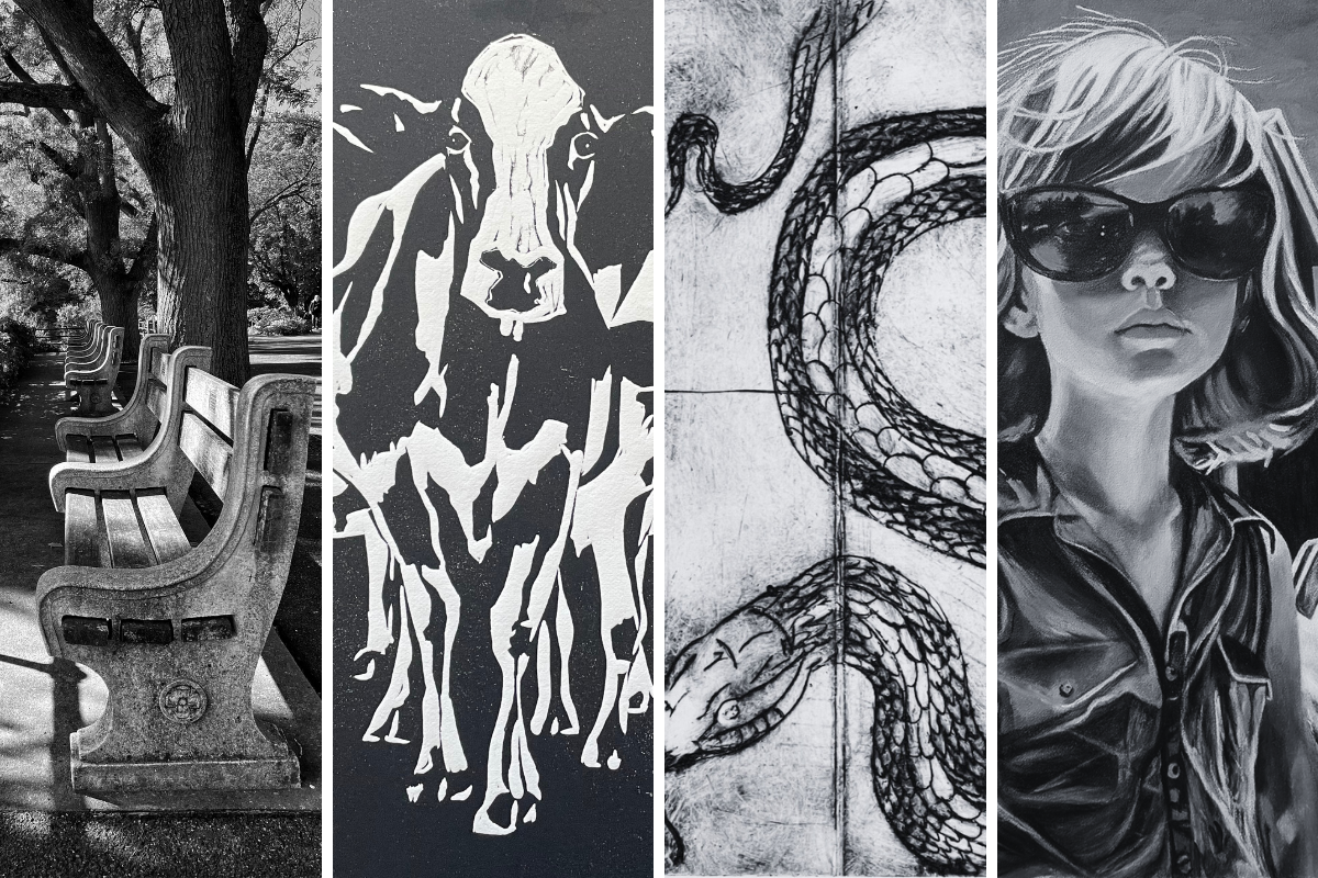 Opening Reception Spring 2024 Exhibitions Traverse City, MI 49684