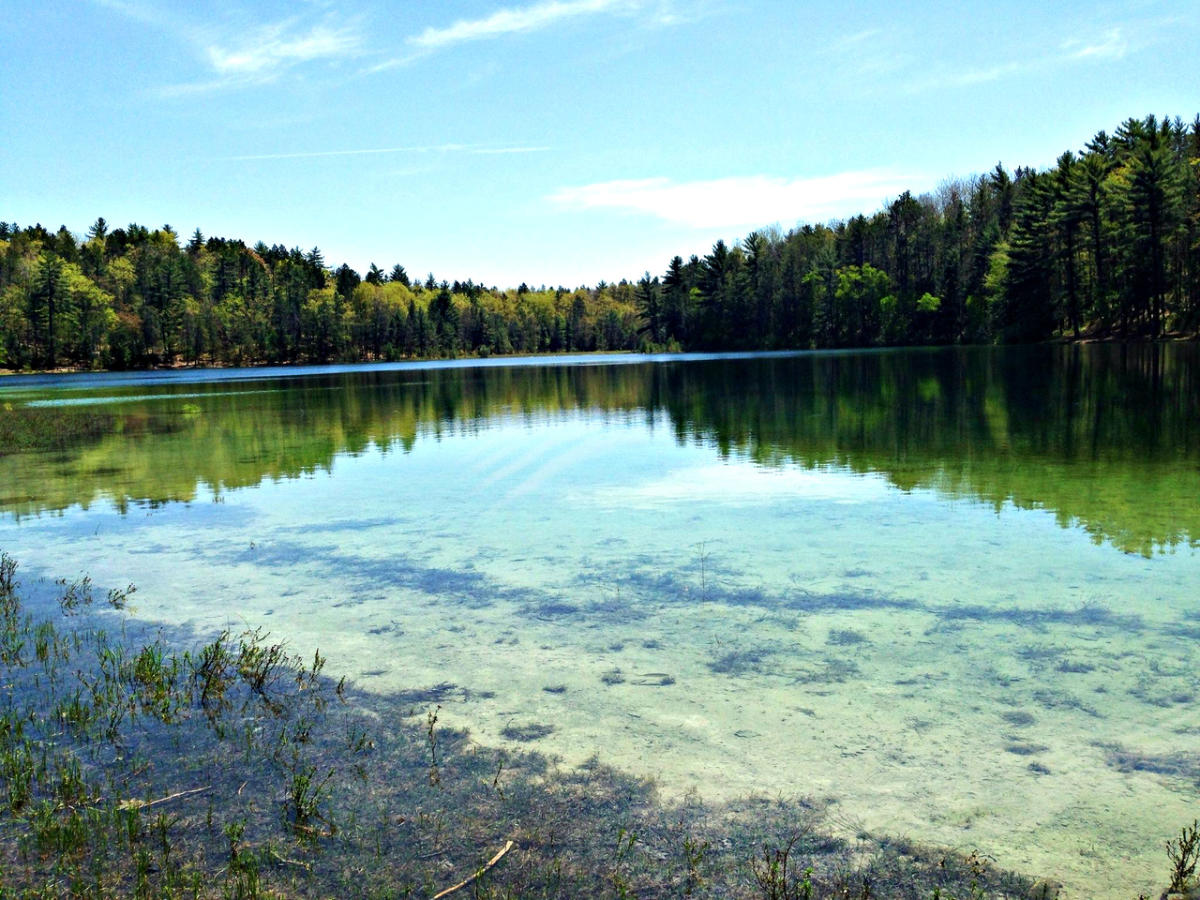 Sand Lakes Quiet Area | Williamsburg, MI 49690