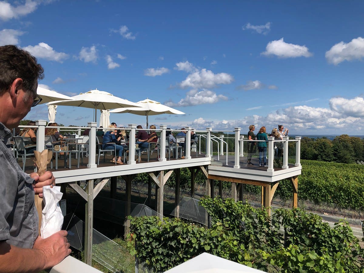 5Hour Traverse City Wine Tour 4 Wineries on Old Mission Peninsula