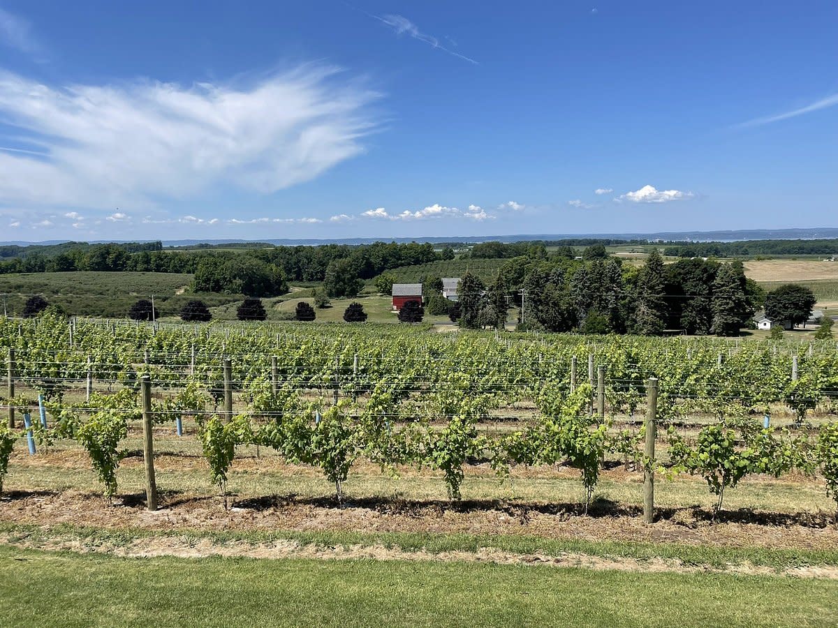 5Hour Traverse City Wine Tour 4 Wineries on Leelanau Peninsula Traverse City, MI 49686