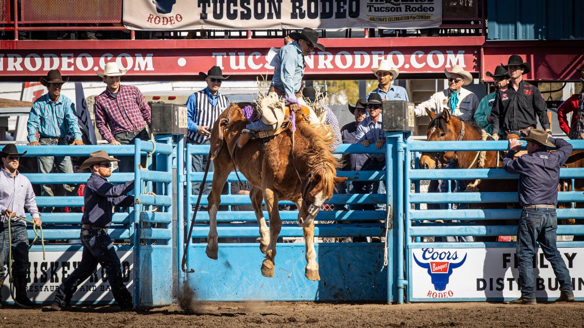 La Fiesta De Los Vaqueros Tucson 100th Anniversary La Fiesta de los Vaqueros - Tucson Rodeo | Tucson, AZ