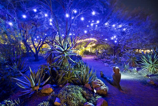 LightsUp! A Festival of Illumination | Tucson, AZ 85712