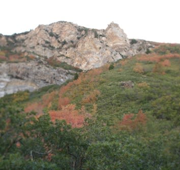 Rock Canyon