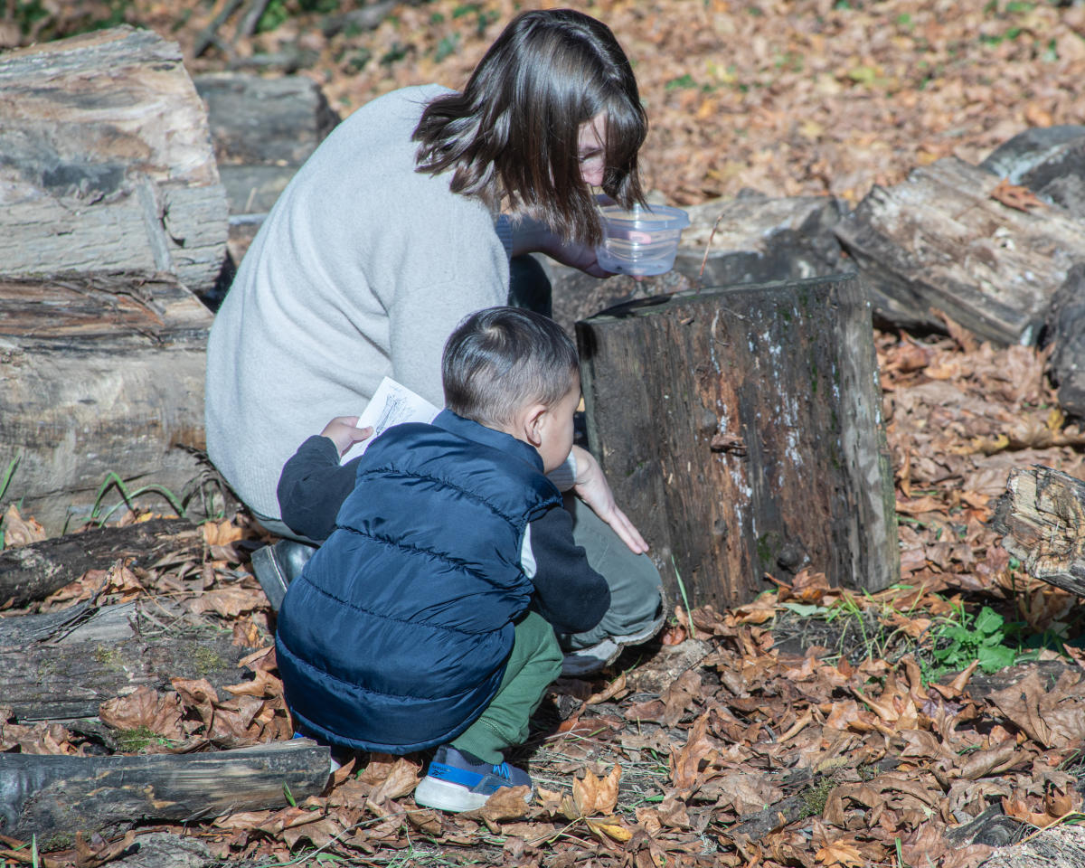 Super Plants Nature Day at Columbia Springs