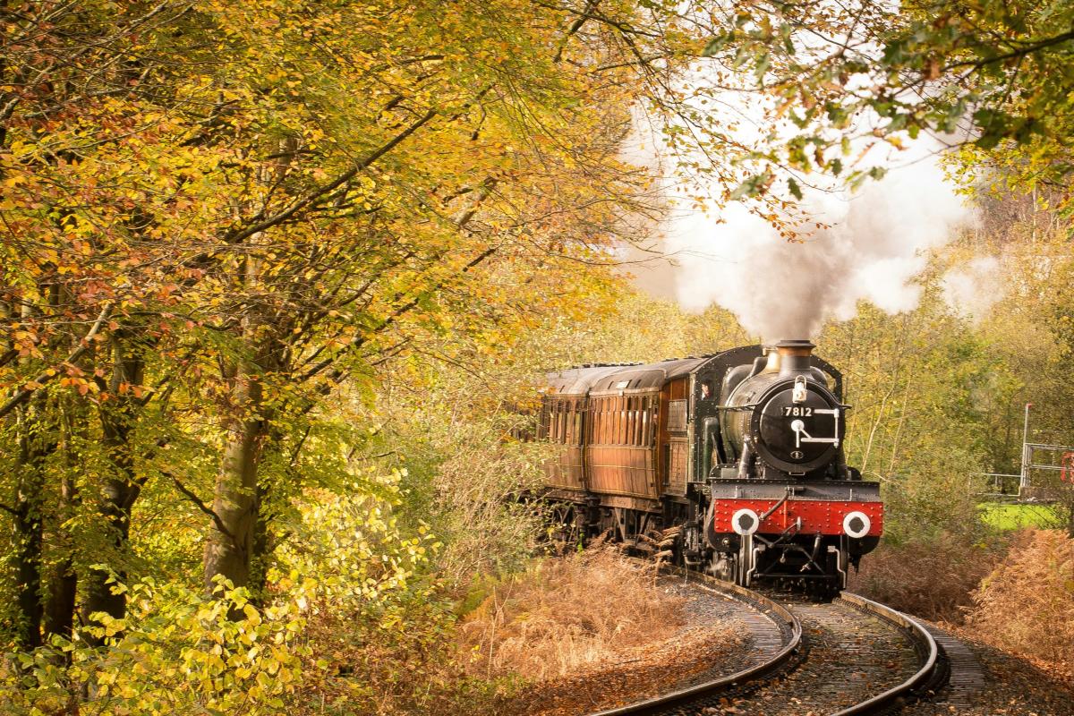 Chelatchie Prairie Railroad Fall Leaves Special — Yacolt, WA
