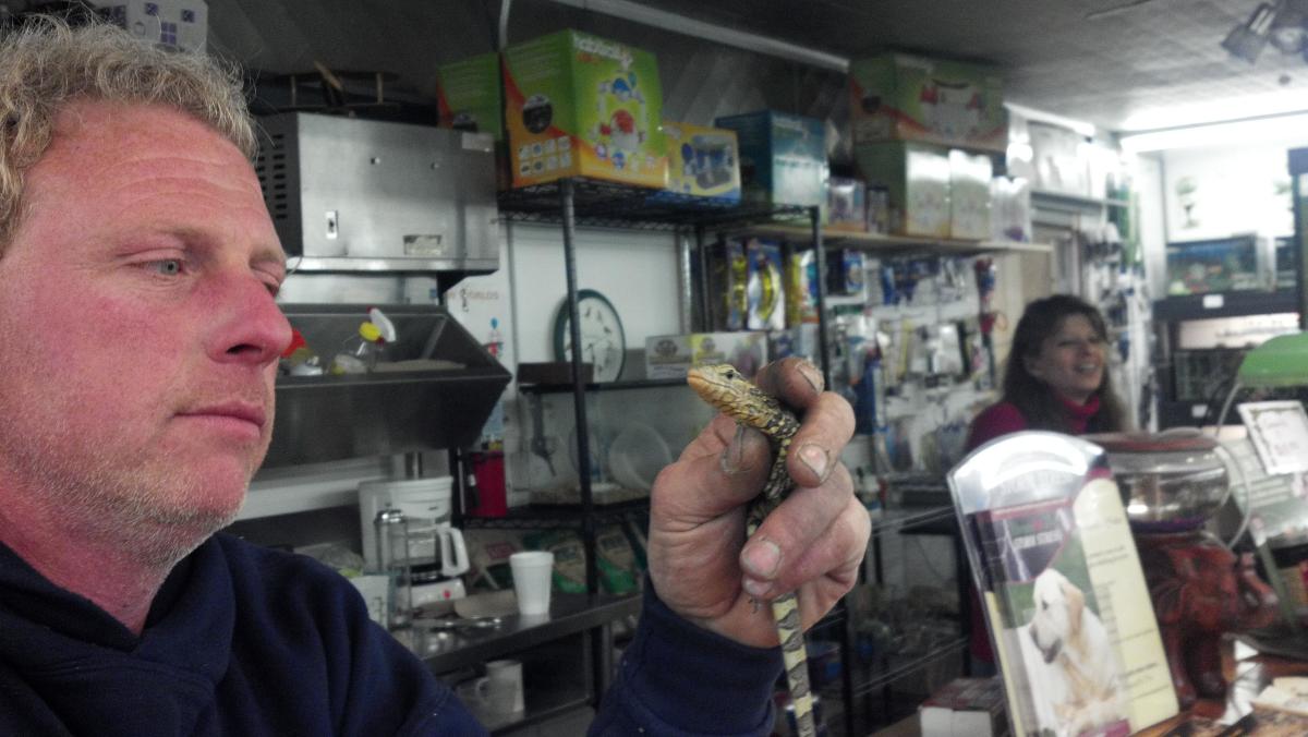 Dave's Pets and Exmore Flea Market