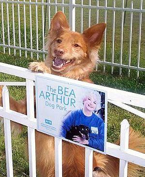 Bea Arthur Dog Park, Norfolk