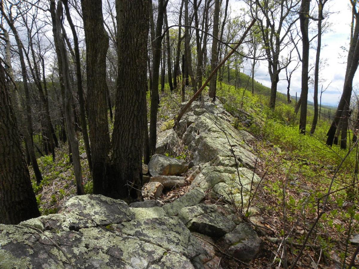 Rich Hole Wilderness