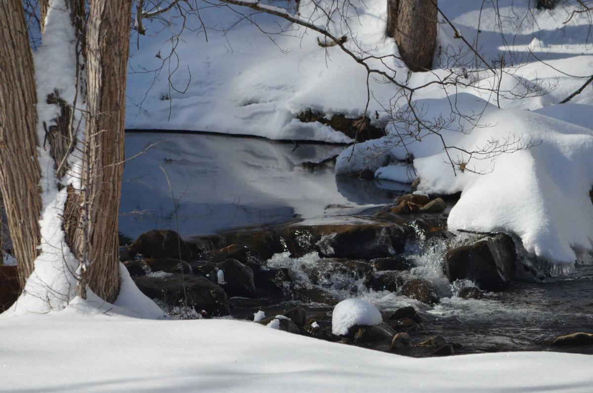 Blue Spring Run Farm