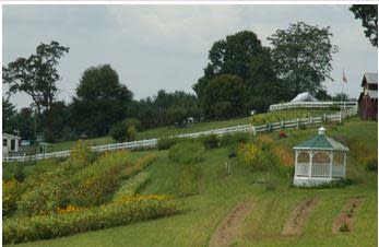 Natural Experiences in Wytheville, VA - Virginia.org