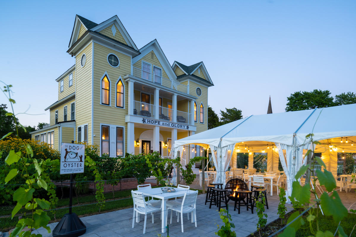 The Dog and Oyster Micro Vineyard