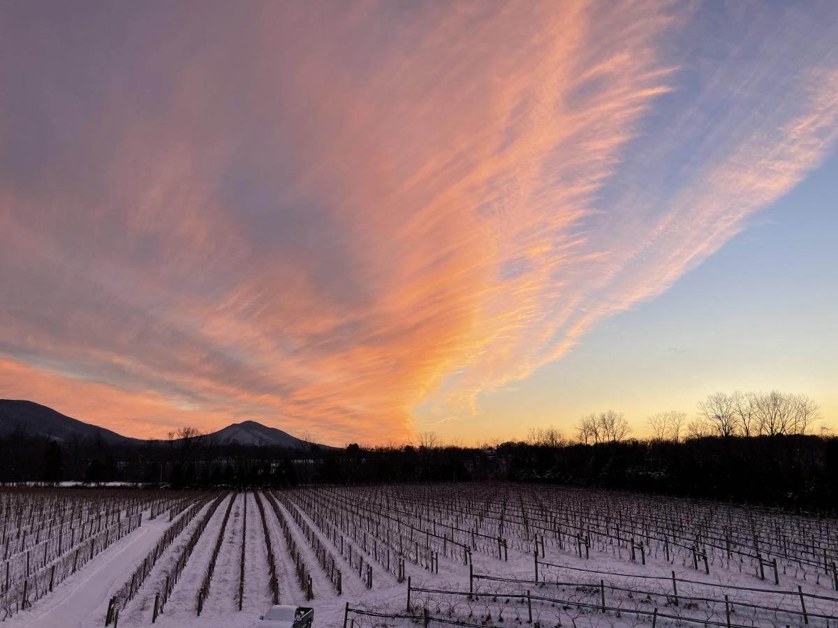 Shenandoah Valley Wine Trail