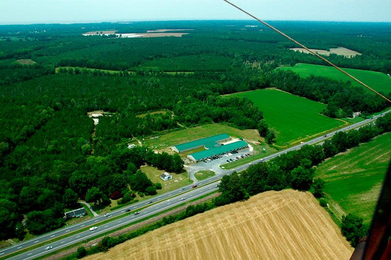 Blue Crow Antique Mall