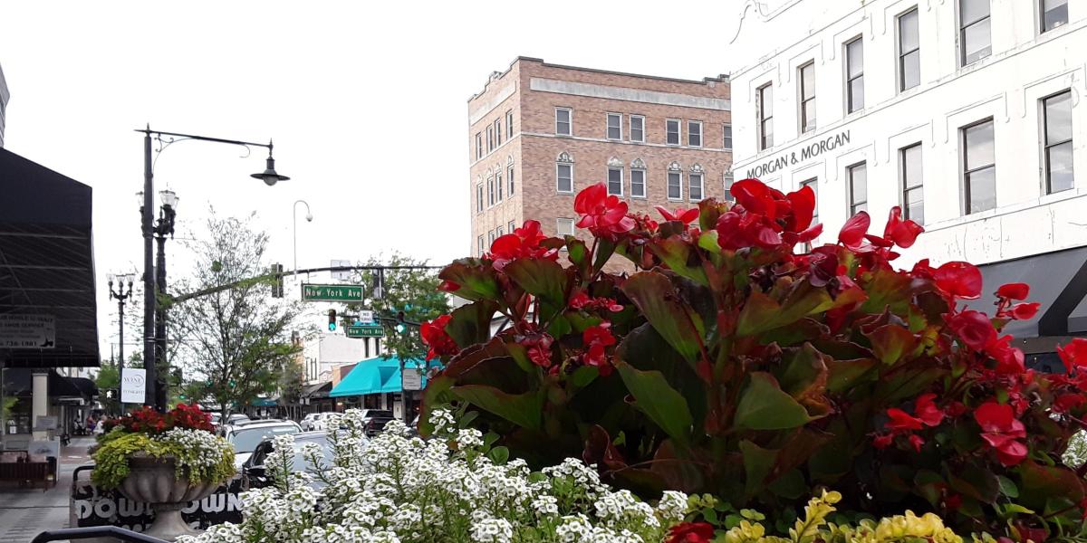 Walking Deland Tours in DeLand | VISIT FLORIDA