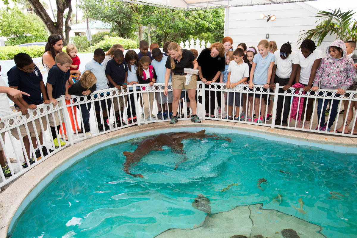 Sandoway Discovery Center in Delray Beach VISIT FLORIDA