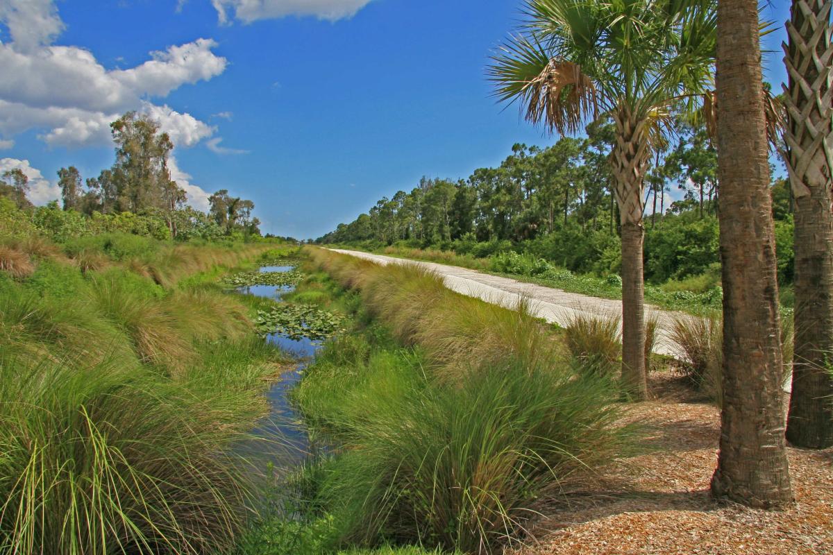 John Yarbrough Linear Park Trail in Fort Myers | VISIT FLORIDA