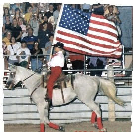 Suhl's Rodeo in Kissimmee | VISIT FLORIDA