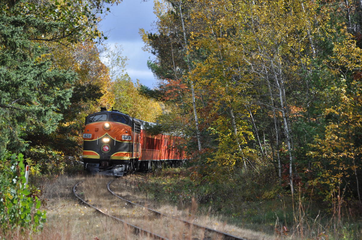 Sightseeing Train Ride