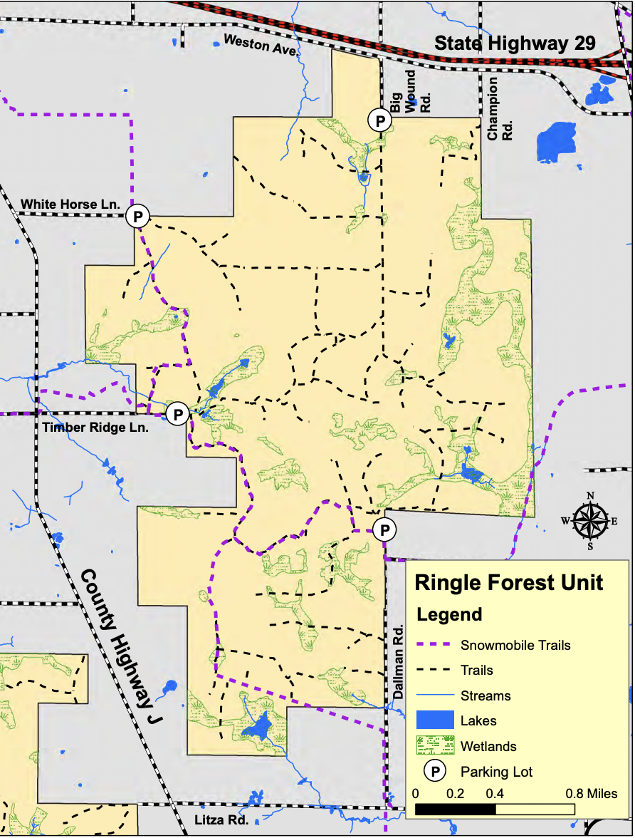 Ringle Forest Hatley, WI