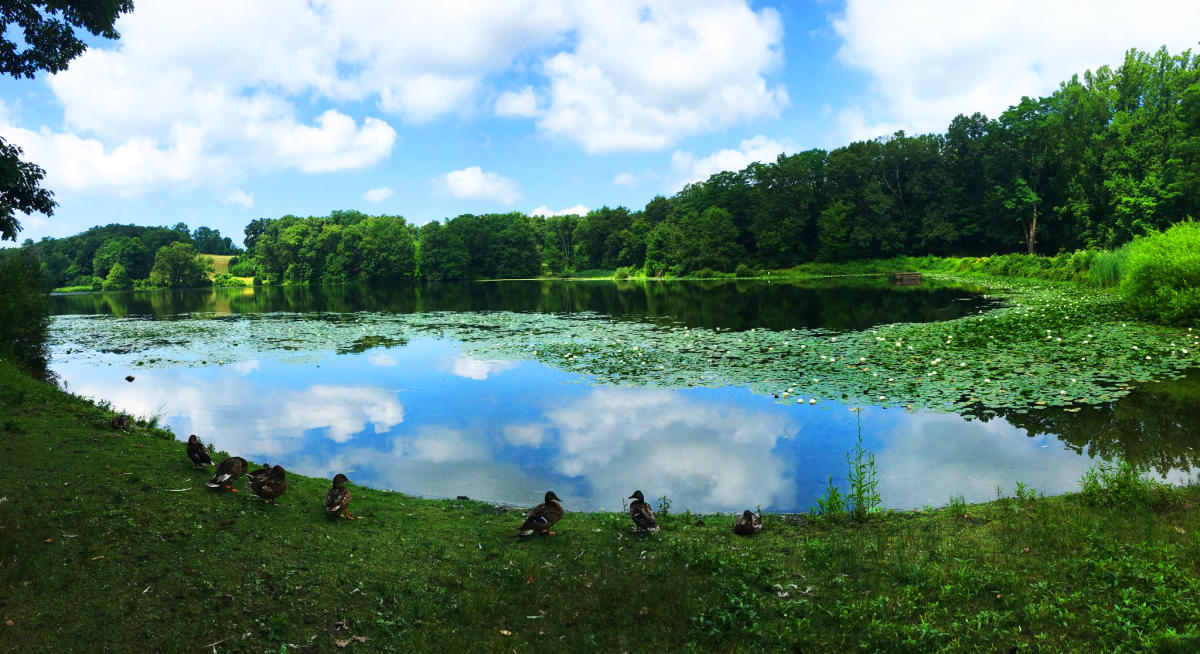 Rockefeller State Park Preserve