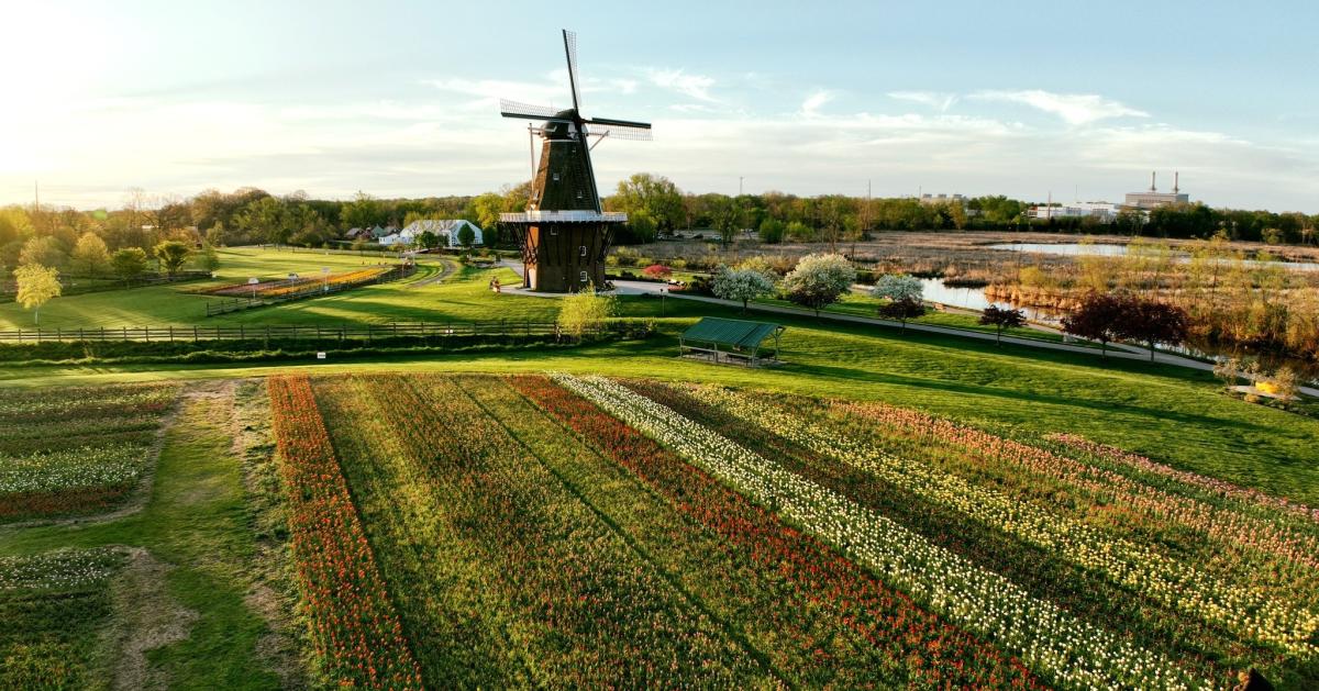 Downtown Holland - West Michigan Tourist Association