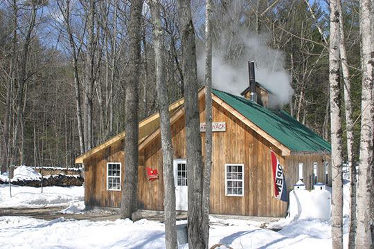 Maple Weekend at Believe in Books | Intervale, NH