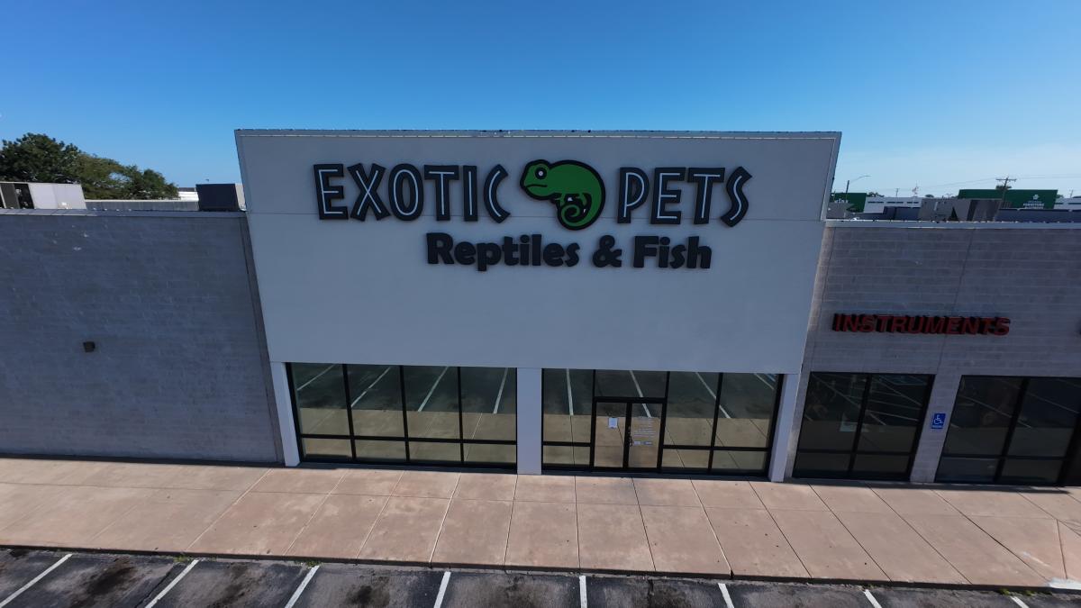 Exotic pets wichita
