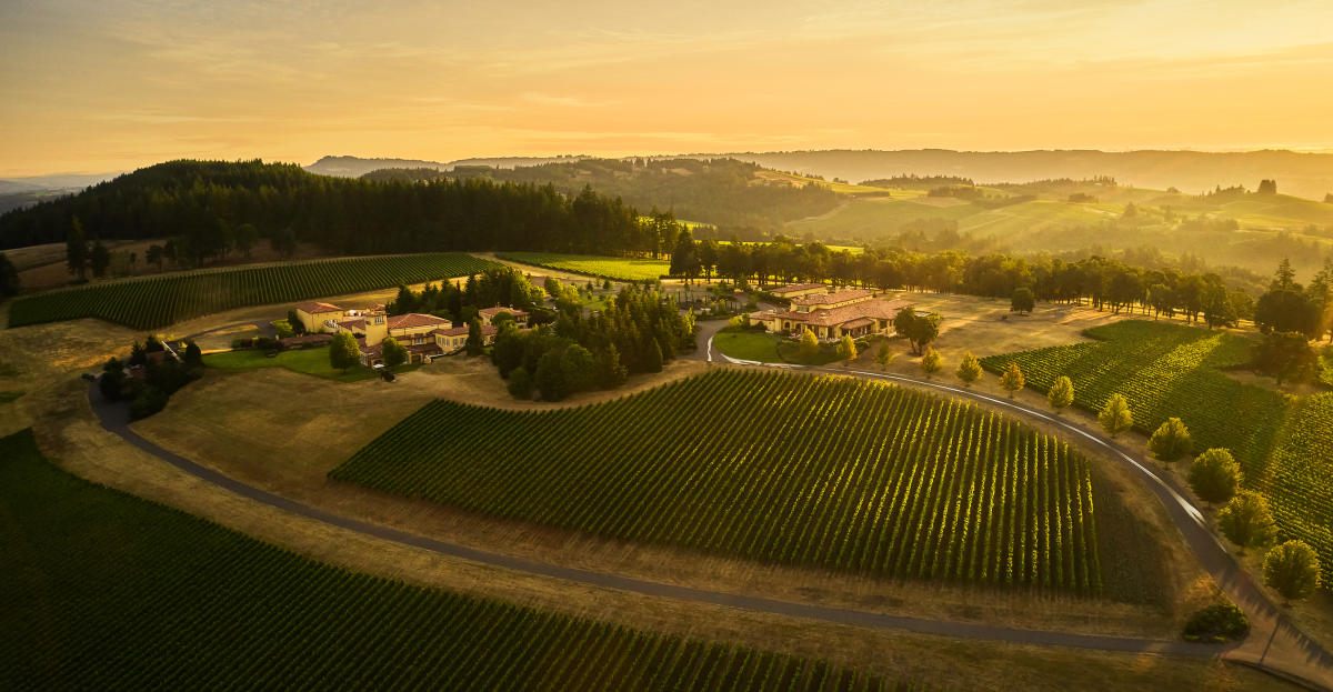 Domaine Serene in Carlton, Oregon