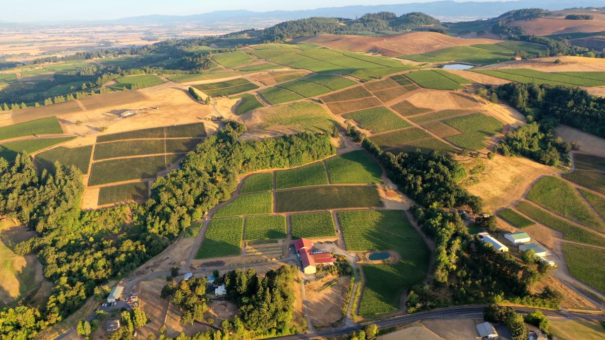 Cristom Vineyards in Carlton, Oregon