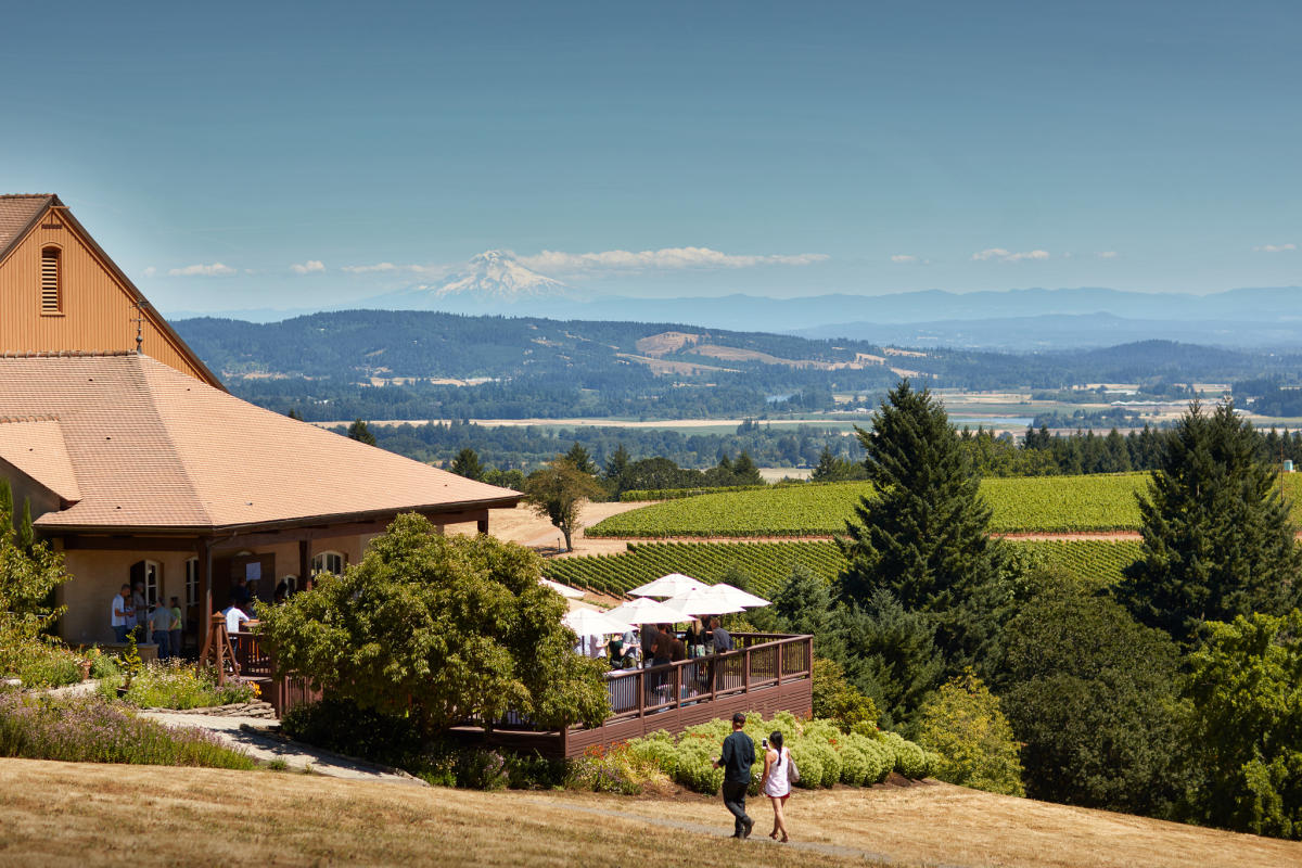 Domaine Drouhin Oregon in Carlton, Oregon