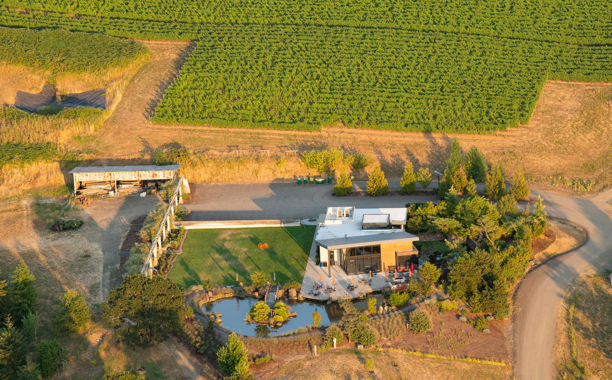 Saffron Fields Vineyard