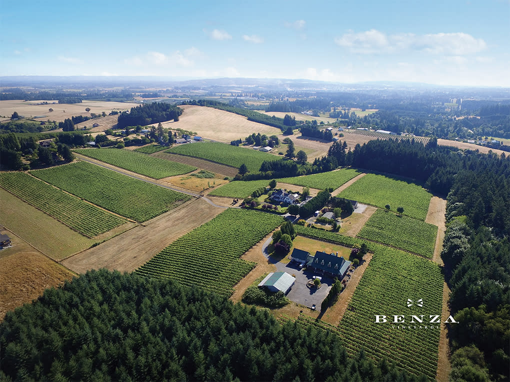 Benza Vineyards in Carlton, Oregon