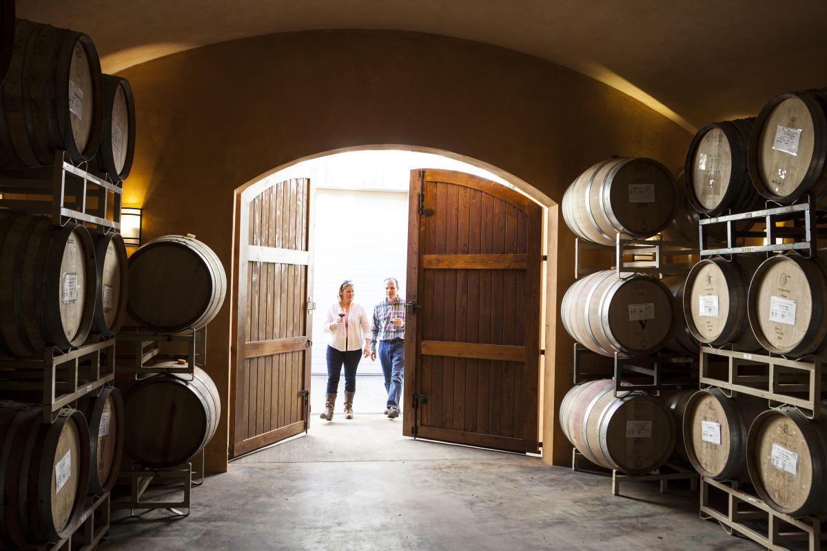Apolloni Vineyards photo