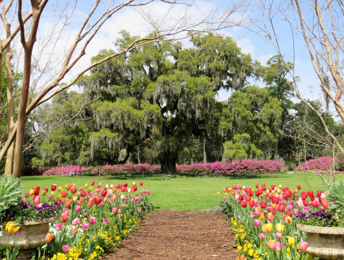 Airlie Gardens Wilmington, NC 28403