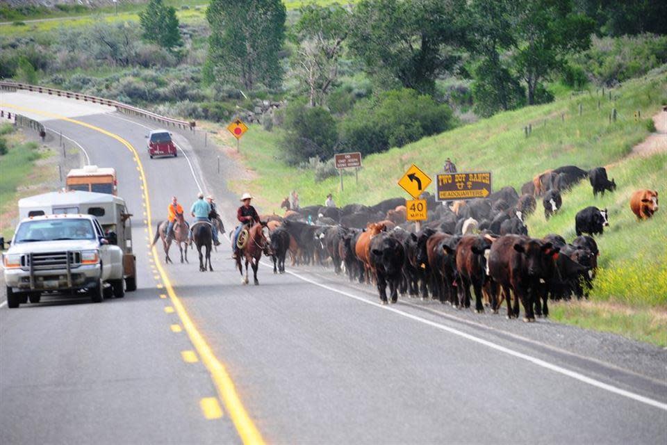 travelwyoming.com