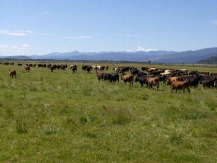 Snake River Ranch Snake River Ranch