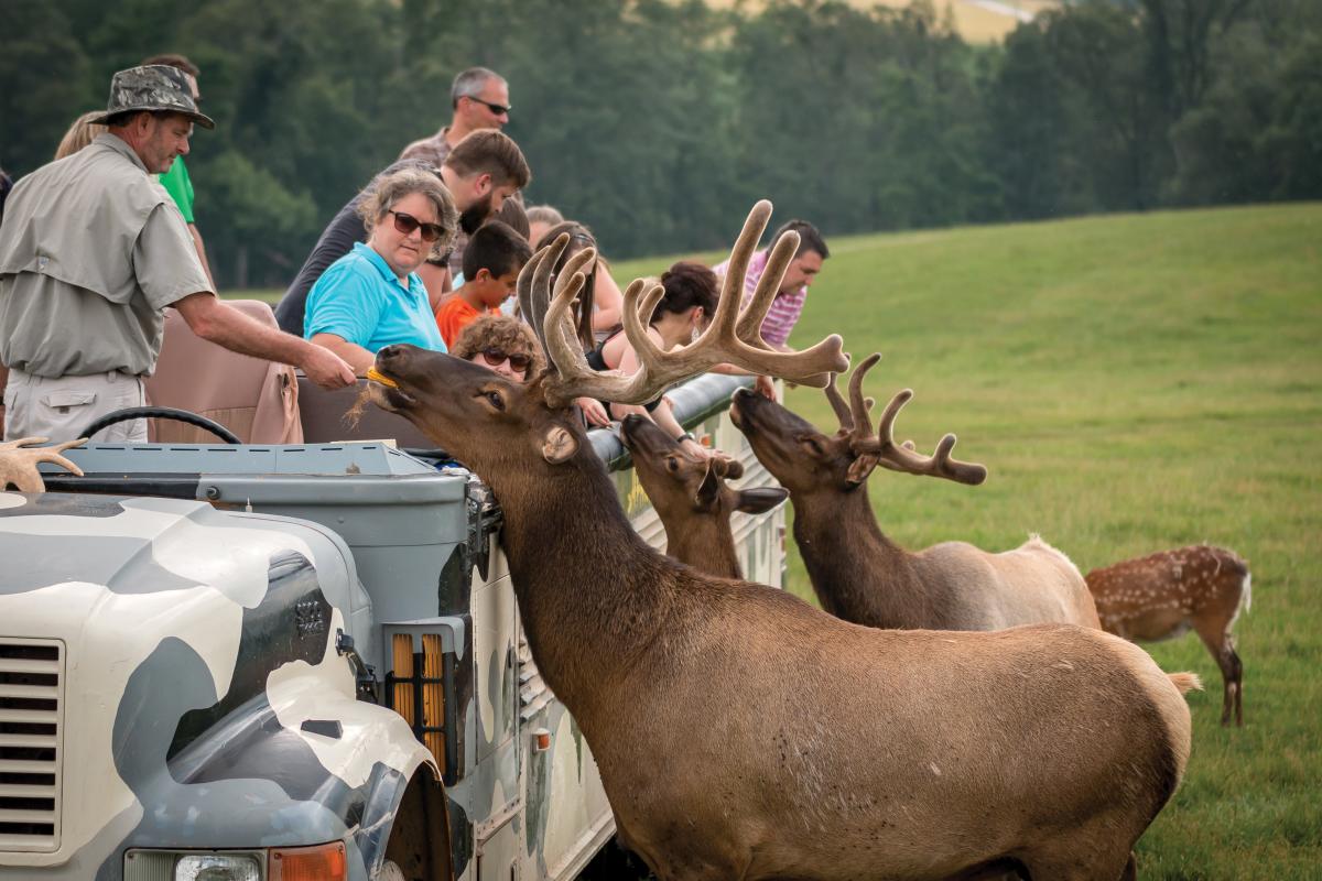 Lake Tobias Wildlife Park