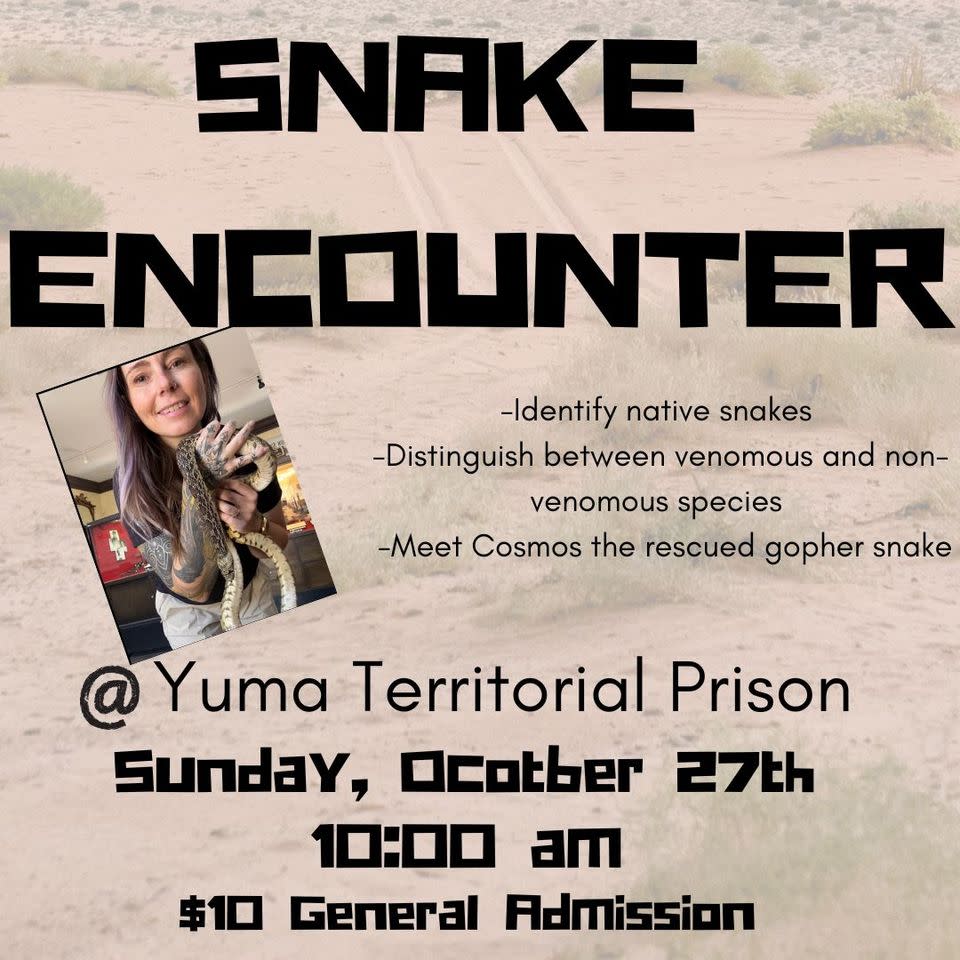Snake Encounter at the Yuma Territorial Prison