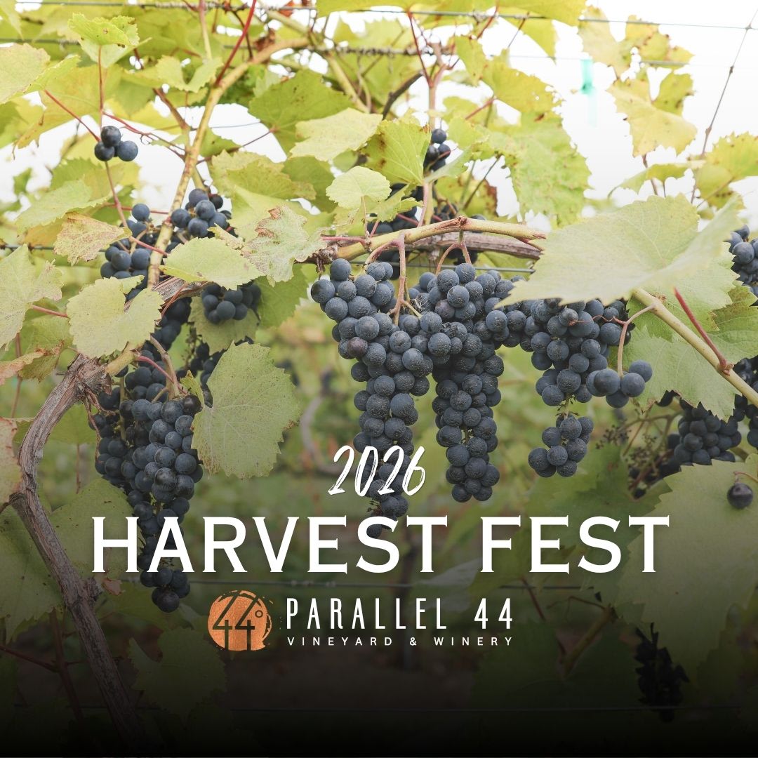 Harvest Fest at Parallel 44